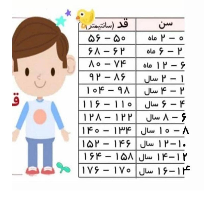 ست تیشرت شلوارک نخی اسپرت - Image 2