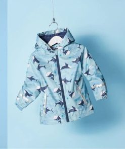 Alternative view of کاپشن شیلد لوپیلو