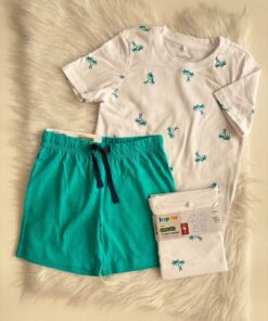 boy t-shirt and short